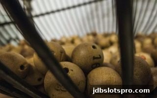 掌握时时彩小额投注精髓：jdb电子游戏官网教你科学风险控制