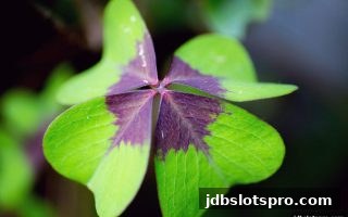 深度解析：jdb电子游戏官网上的数字娱乐逻辑与博彩策略融合