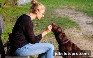 深度解析jdb电子游戏官网真人互动平台返水机制与策略