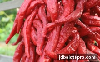 jdb电子游戏官网水果机奖金获取指南：规则解析与实战策略