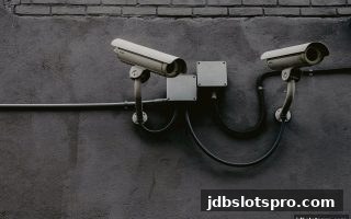 jdb电子游戏官网玩家指南：如何高效核查平台不良记录并规避风险