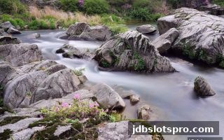 足球赛季深度解析：jdb电子游戏官网带你从直播数据看门道