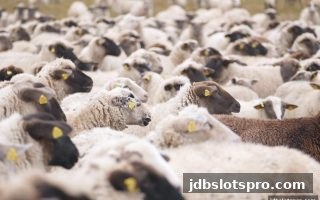 深度解析：jdb电子游戏官网上的游戏策略与概率实战案例